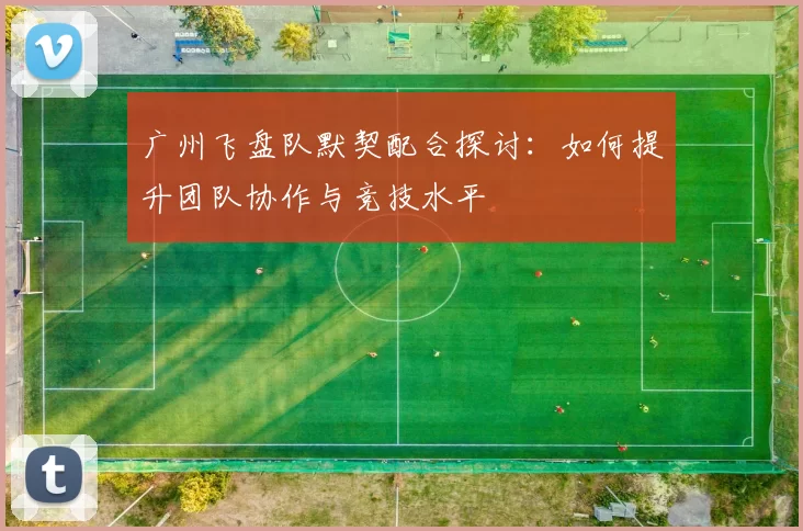 广州飞盘队默契配合探讨：如何提升团队协作与竞技水平