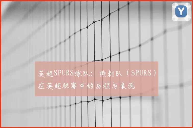 英超SPURS球队：热刺队（SPURS）在英超联赛中的历程与表现