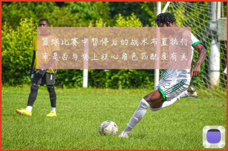 篮球比赛中暂停后的战术布置执行率是否与场上核心角色匹配度有关