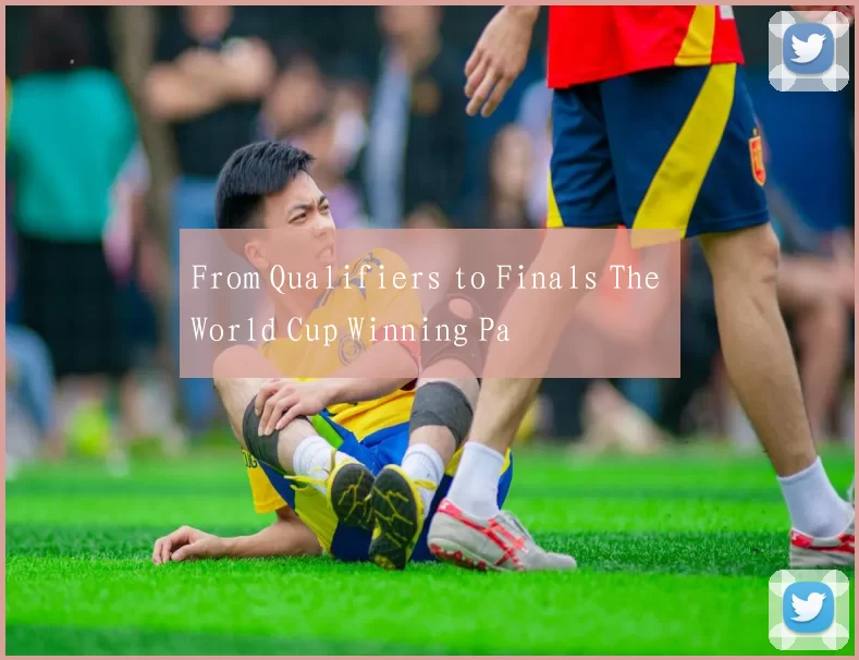 From Qualifiers to Finals The World Cup Winning Pa