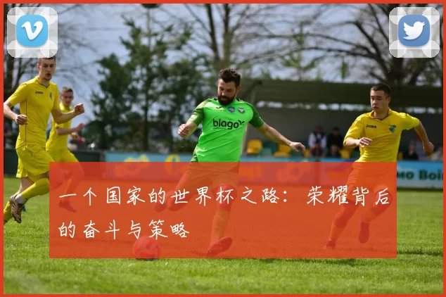一个国家的世界杯之路：荣耀背后的奋斗与策略