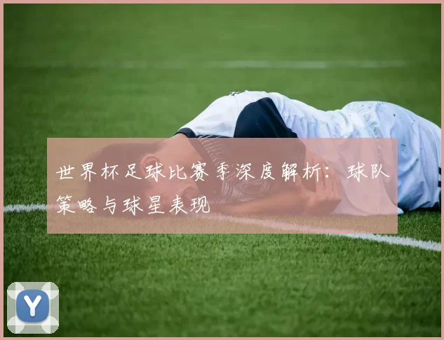 世界杯足球比赛季深度解析:球队策略与球星表现
