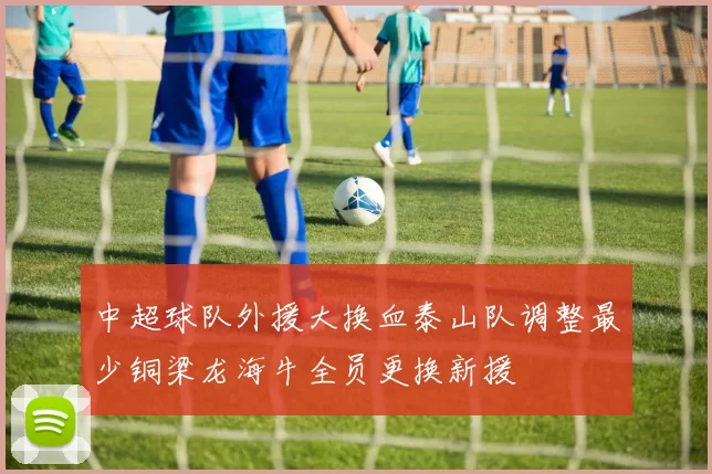 中超球队外援大换血泰山队调整最少铜梁龙海牛全员更换新援