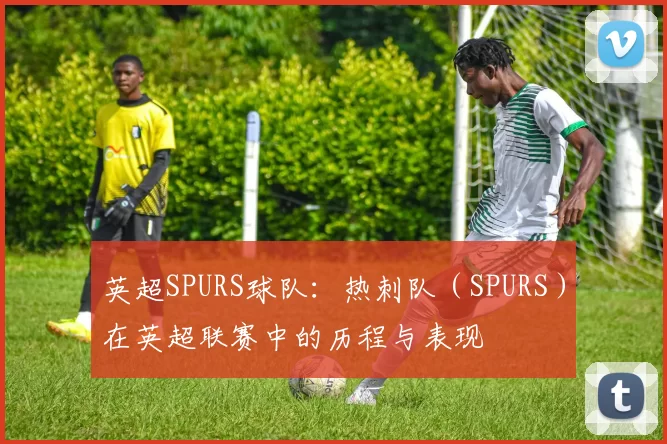 英超SPURS球队：热刺队（SPURS）在英超联赛中的历程与表现