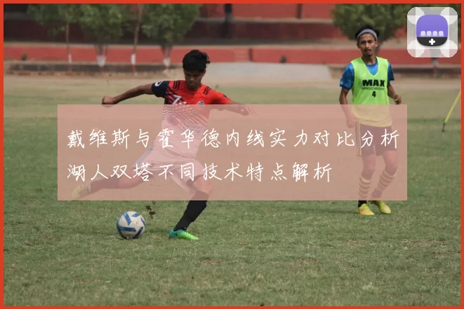 戴维斯与霍华德内线实力对比分析湖人双塔不同技术特点解析