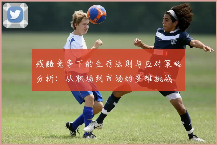 残酷竞争下的生存法则与应对策略分析：从职场到市场的多维挑战