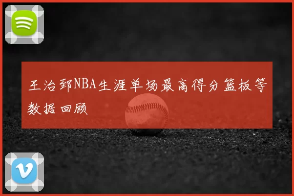 王治郅NBA生涯单场最高得分篮板等数据回顾