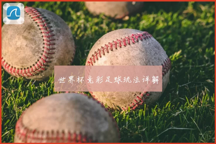 世界杯竞彩足球玩法详解