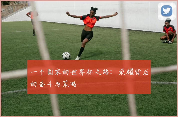 一个国家的世界杯之路:荣耀背后的奋斗与策略