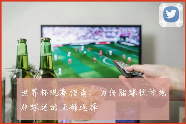 世界杯观赛指南:为何赌球软件绝非球迷的正确选择