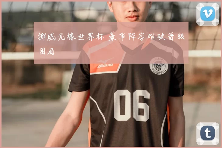 挪威无缘世界杯 豪华阵容难破晋级困局